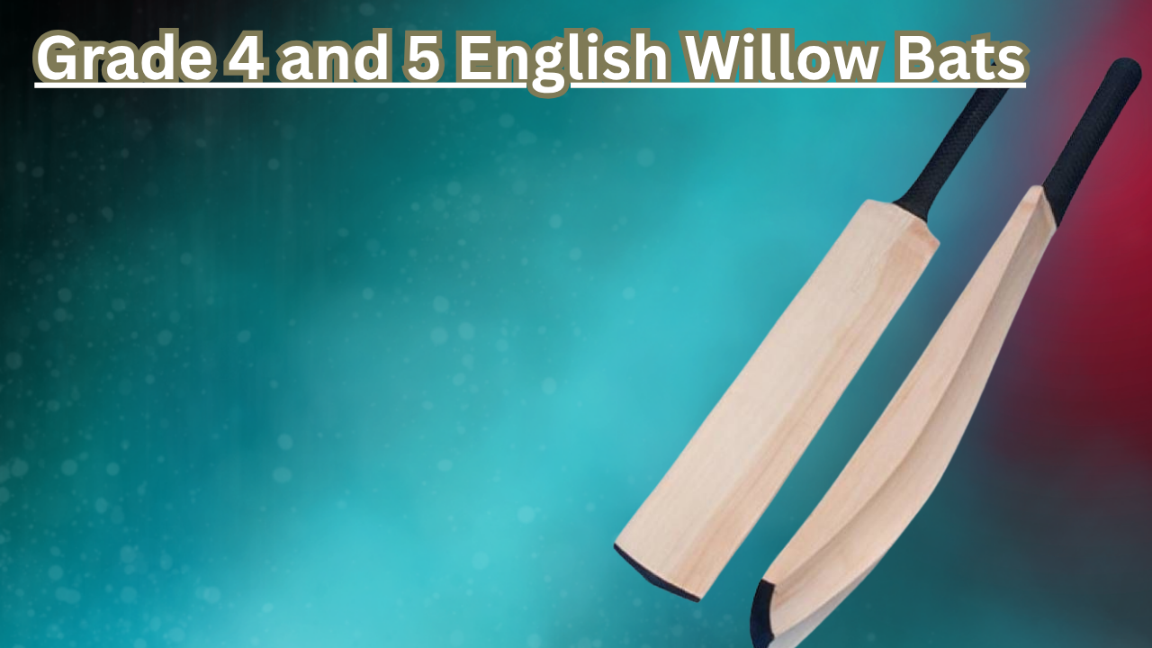 Grade 4 & 5 English Willow Bats