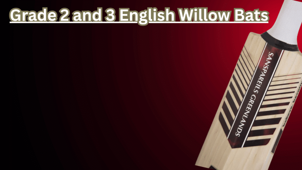 Grade 2 & Grade 3 English Willow Cricket Bats – Complete Buyer’s Guide