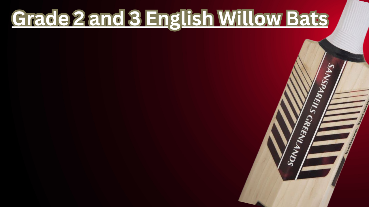 Top Grade 2 and 3 English Willow Bats