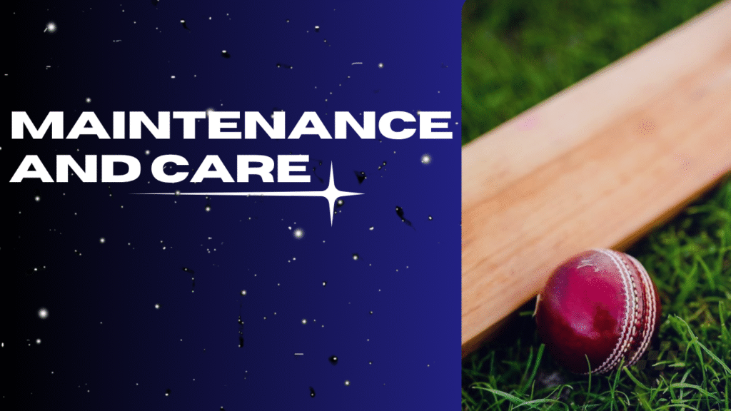  Maintenance and Care