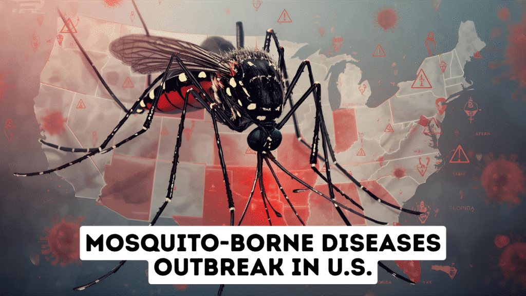 Mosquito-Borne Diseases: Mosquito Outbreak Hit Back in The United States After 6 Years